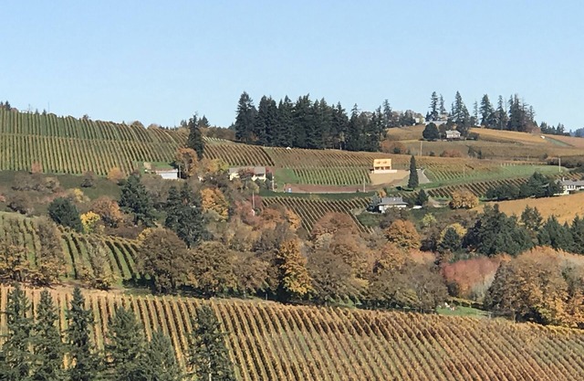 Dundee Hills. 3 Primary Suites! Exquisite Oregon Wine Country Experience