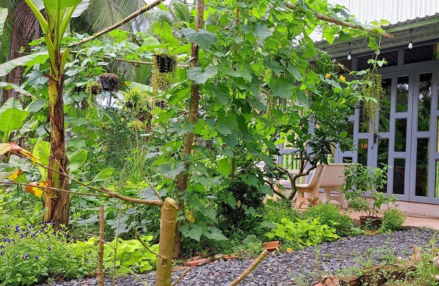 Duplex Cabin in farm stay - authentic experience of Mekong delta