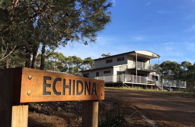 Echidna on Bruny, luxury within island bushland