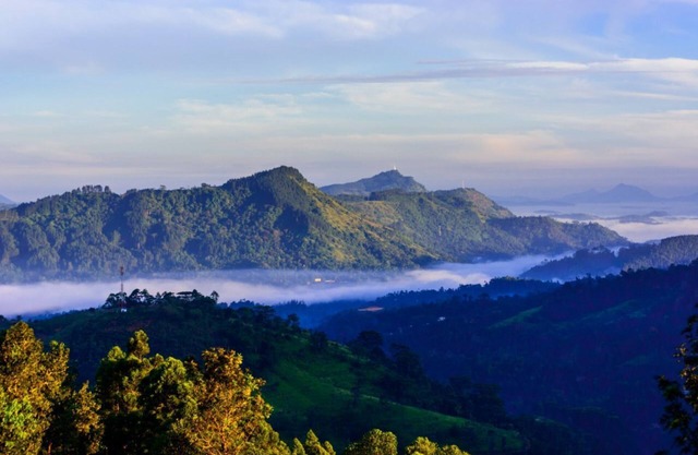 Eco friendly luxury boutique resort located private colonial tea estate