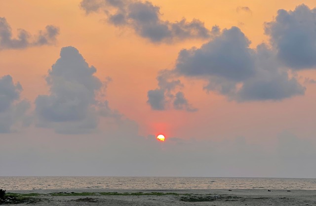 Eden Homestay Alleppey