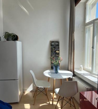 Elegant studio apartment in down town Helsinki