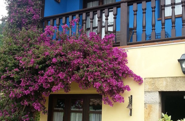 Enjoy the natural paradise of Asturias in our country house El Rosal