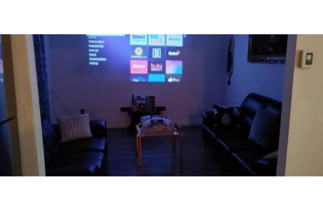 Entire Apartment, Cozy, 100" Projector TV
