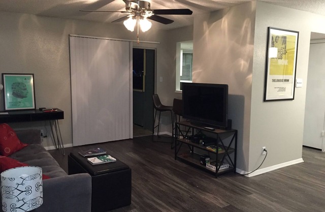 Entire Apt in South Austin 78704