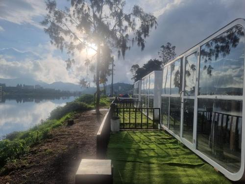 Epel Bintang tepi danau