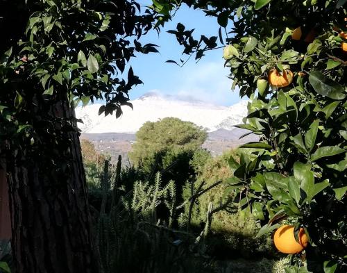 ETNA MARE Jonio