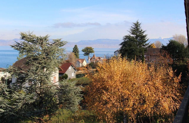 Evian-lès-bains: House next to lake