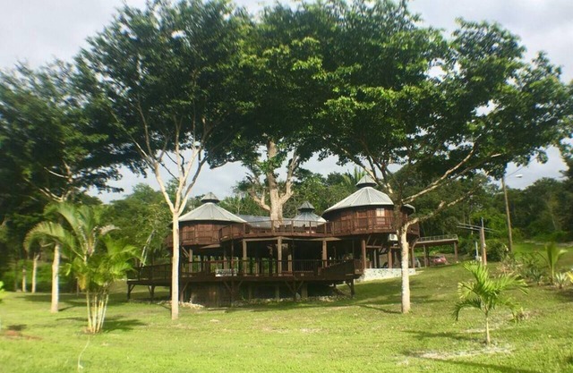Exotic High End Unique Off-The-Grid Treehouse, steps away from the Mopan River!