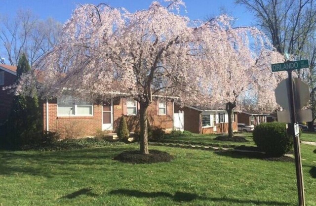 Experience Hollins charm near Hollins University
