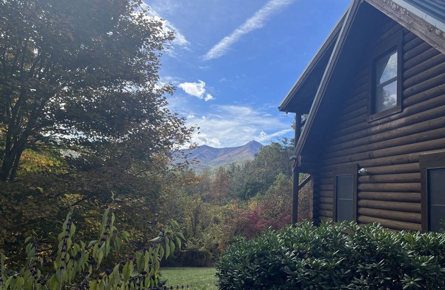 Experience nature’s splendor at a pet-friendly cabin 20 minutes from Asheville.