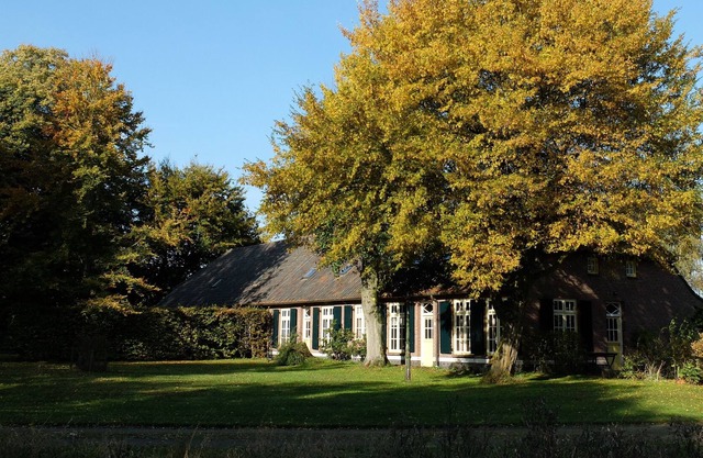 Farm House with huge garden in the middle of nature.