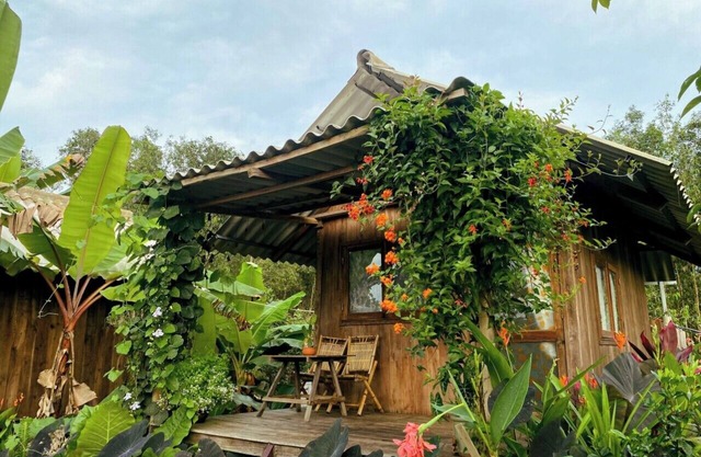 Farmstay Hoa Rung U Minh