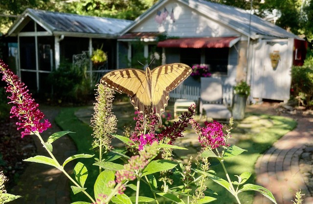 FEATHERSTONE! Unique Cottage Getaway in Hendersonville, N.C.