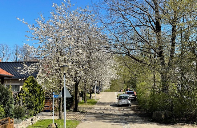 Ferienhaus am Mümmelbrook in Feldberg - Ferienwohnung