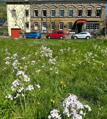 Ferienhaus Löwenherz