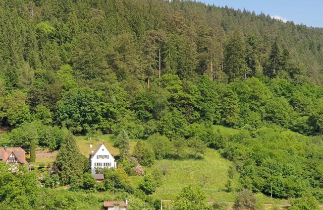 Ferienhaus Waldglück