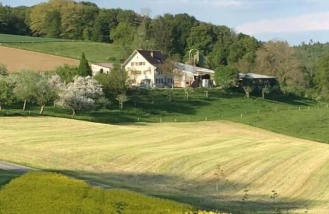 Ferienwohnung/app. für 4 Gäste mit 60m² in Schneisingen