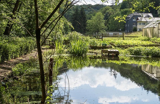 Ferienwohnung "Hieren Mühle"