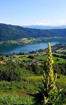 Ferienwohnungen Claudia