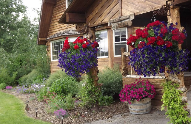 Fin and Feather Inn