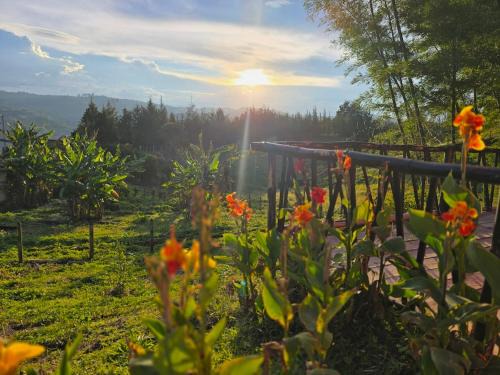 Finca La Preciosura
