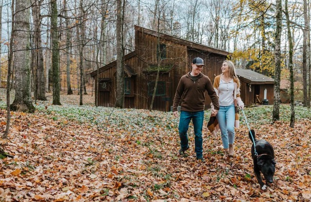 Finnwood - A Pet Friendly Woodland Retreat