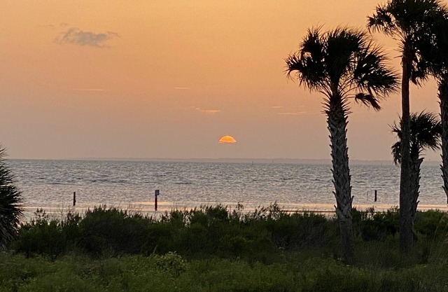Floridan Lodge. 7 Day stays in the center of the island!