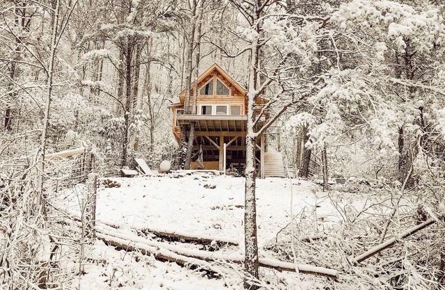 Flowertown Charm Off-Grid Treehouse w/Highland Cows