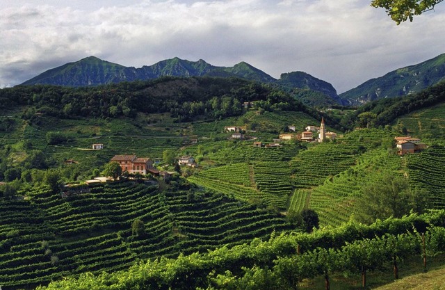Follinetta 10 - Casa Vacanze Nelle Colline del Prosecco - Patrimonio Unesco