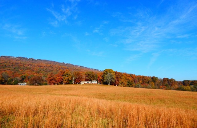 Fryars' Green at Tennessee RiverPlace