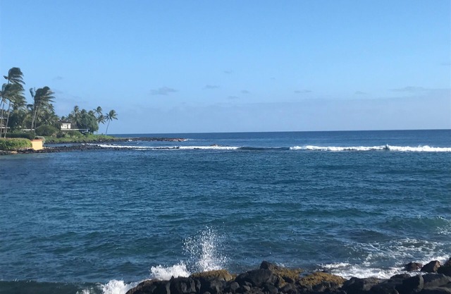 Fully Renovated Oceanfront with Air Cond. Ground Floor Unit with Spacious Lanai!