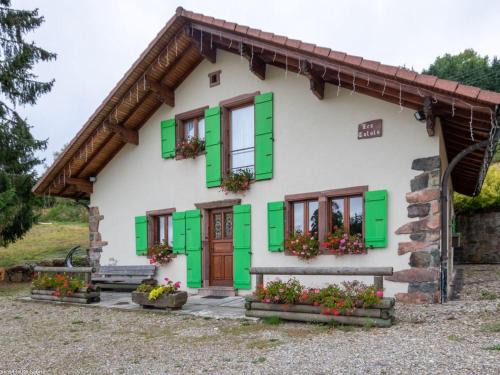 Gîte chaleureux dans les Vosges avec cheminée - FR-1-583-437
