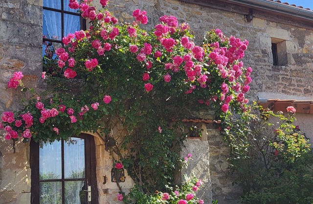 Gîte les Roses sleeps 2/4