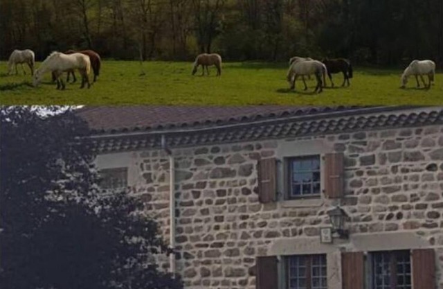 Gîte Rustique et Confortable, en Plein Cœur du Livradois Forez