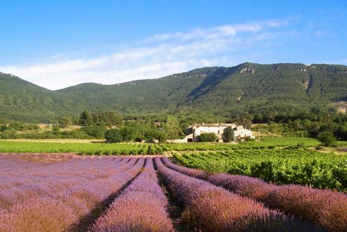 Gîtes du Château d'Alençon