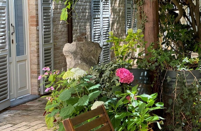 Garden, right in the center, 7 km from the sea