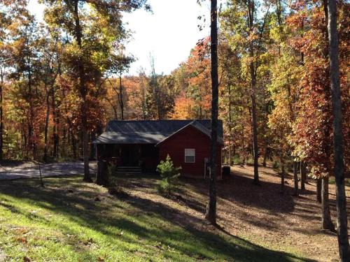 Gas fireplace, firepit, and cedar Adirondack chair
