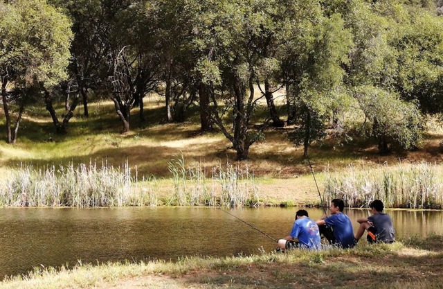 Gated Family Friendly Waterfront Guest Suite