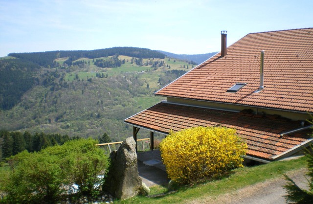 Gite 8 persons with SPA, La Bresse, in the mountains and close to the ski resort