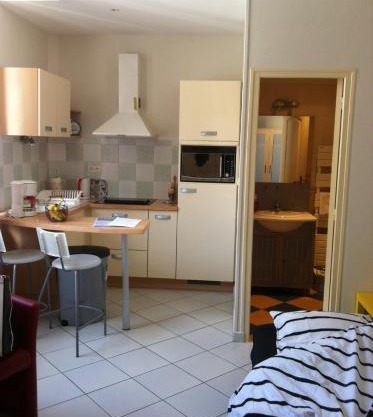 Gite de la Princerie - Studio proche gare - Centre ville - Géré par Presta-Zen'Services