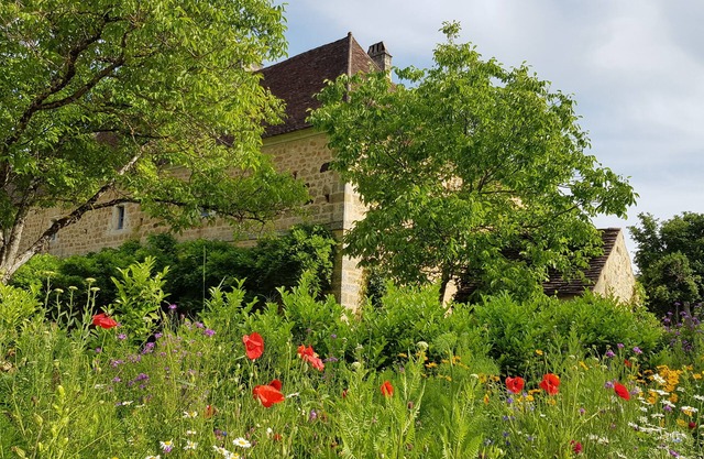Gite Dordogne, 5 bedrooms, 5 bathrooms for 9 people. Charm and space.