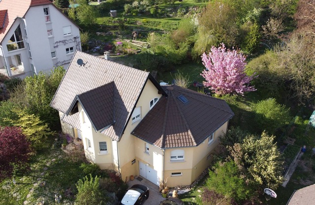 Gîte in a house in the heart of nature in Alsace near Mulhouse