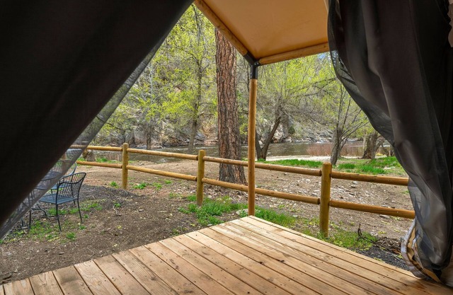 Glamp 1- Bighorn Sheep