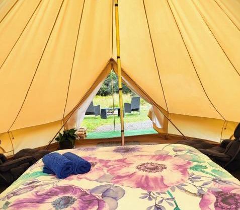 Glamping at Zeehan Bush Camp