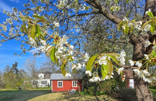 Gorgeous apartment in Rörvik with WiFi