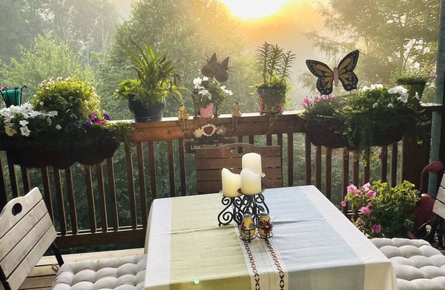 Gorgeous Condo With a Breathtaking View Of The Blue Ridge Mountains