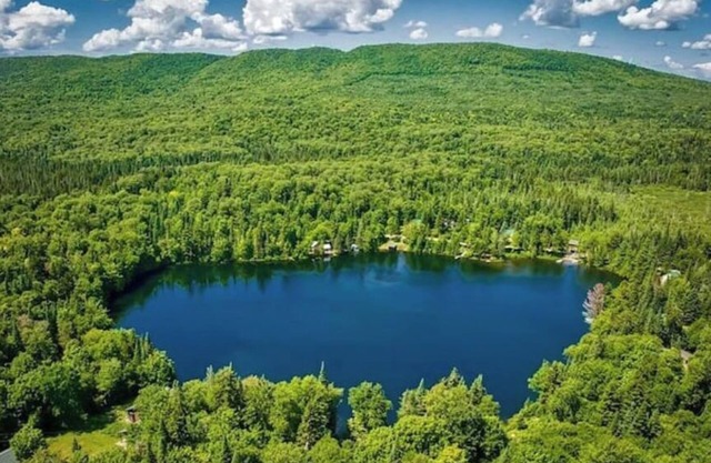 Gorgeous Getaway With Nature and Private Pond