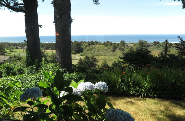 Gorgeous Ocean View! Private. Cozy Comfort.