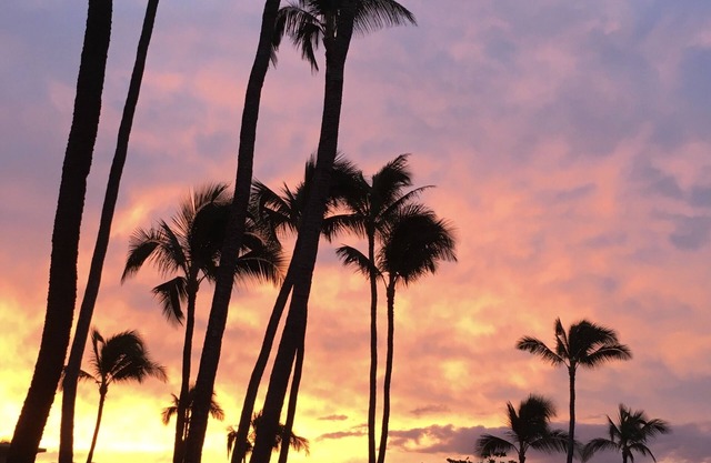 Gorgeous Oceanfront Complex on Maui! Kanai A Nalu, with FREE parking!